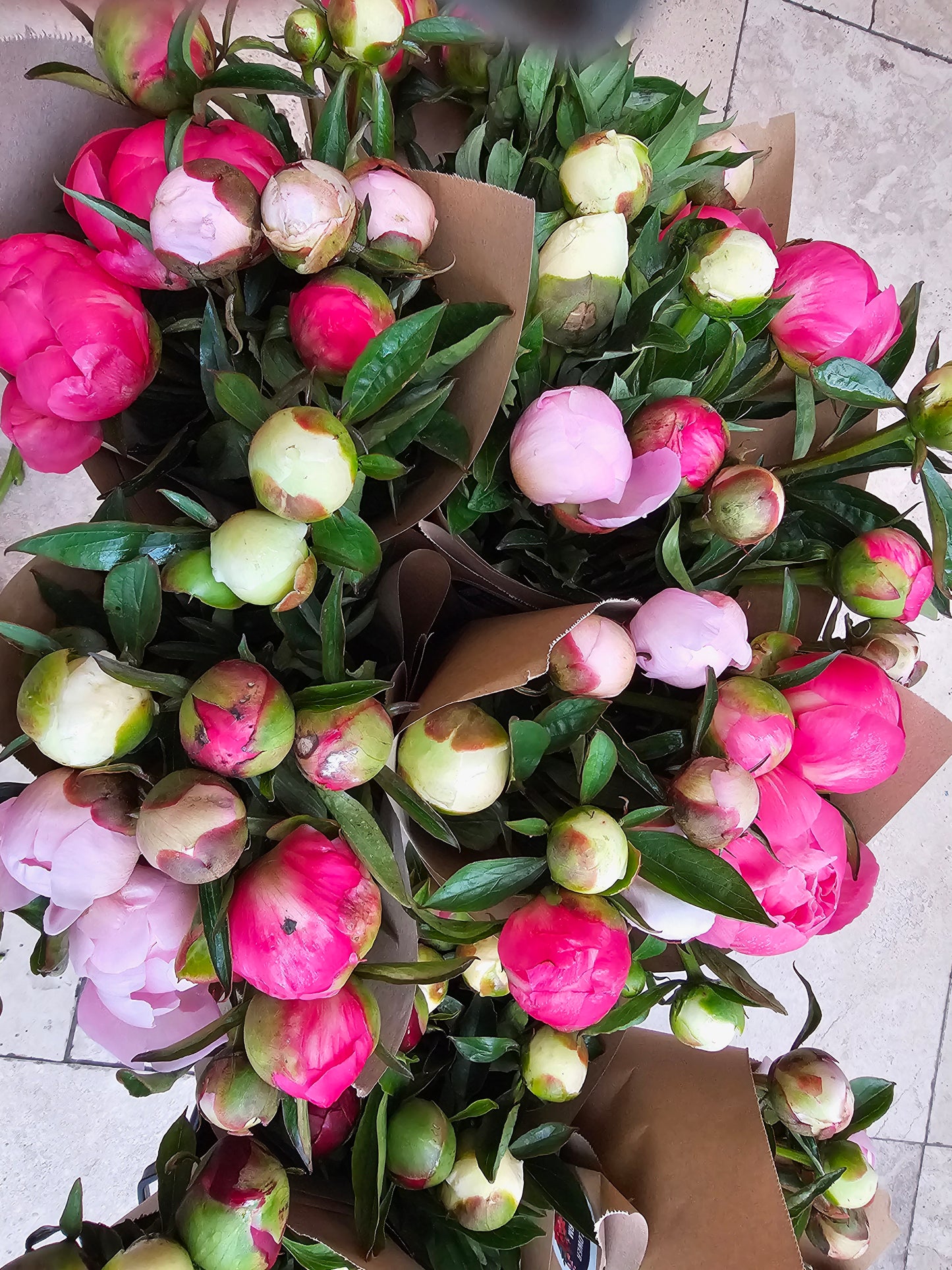 The Peony Club