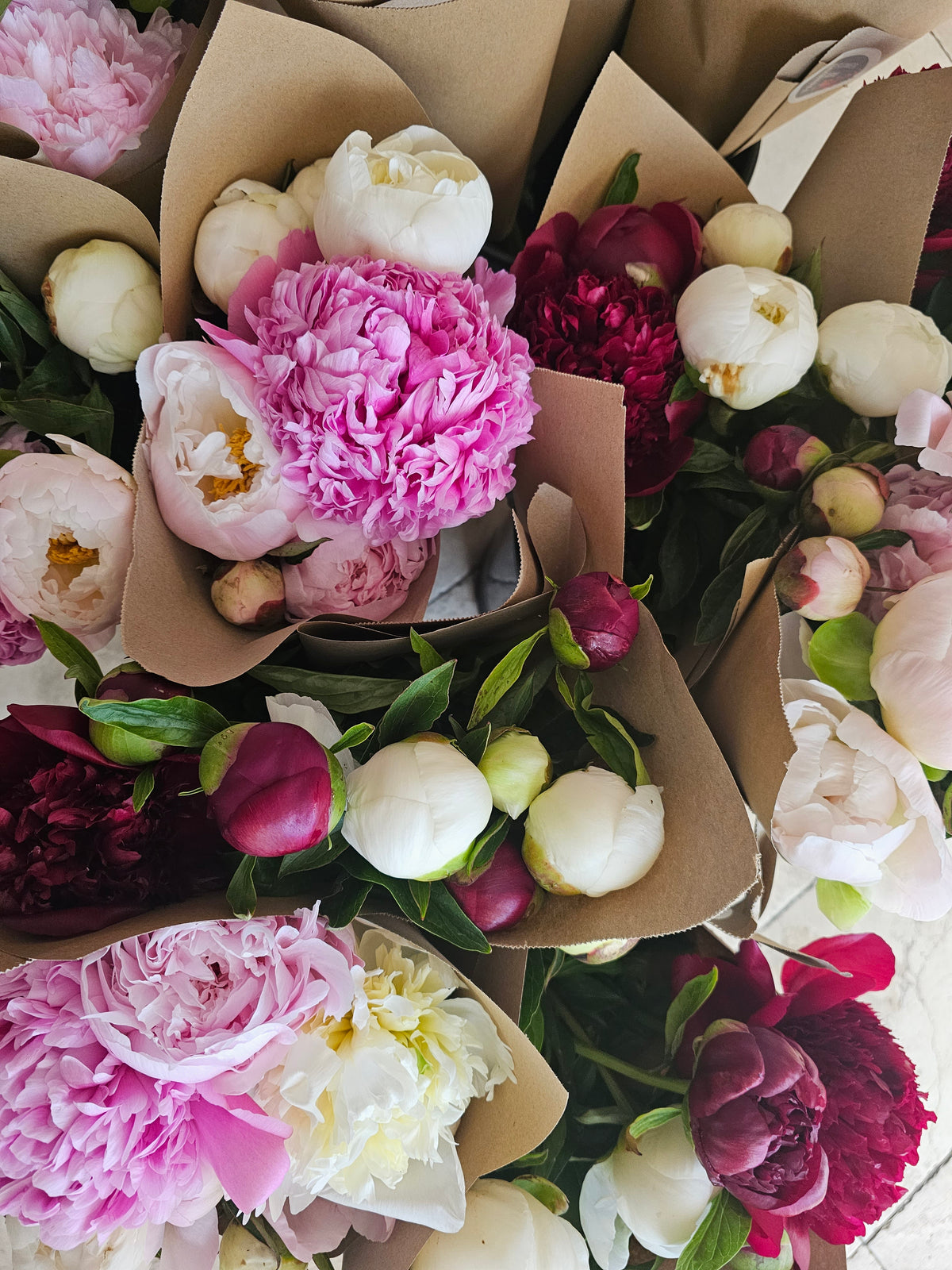The Peony Club