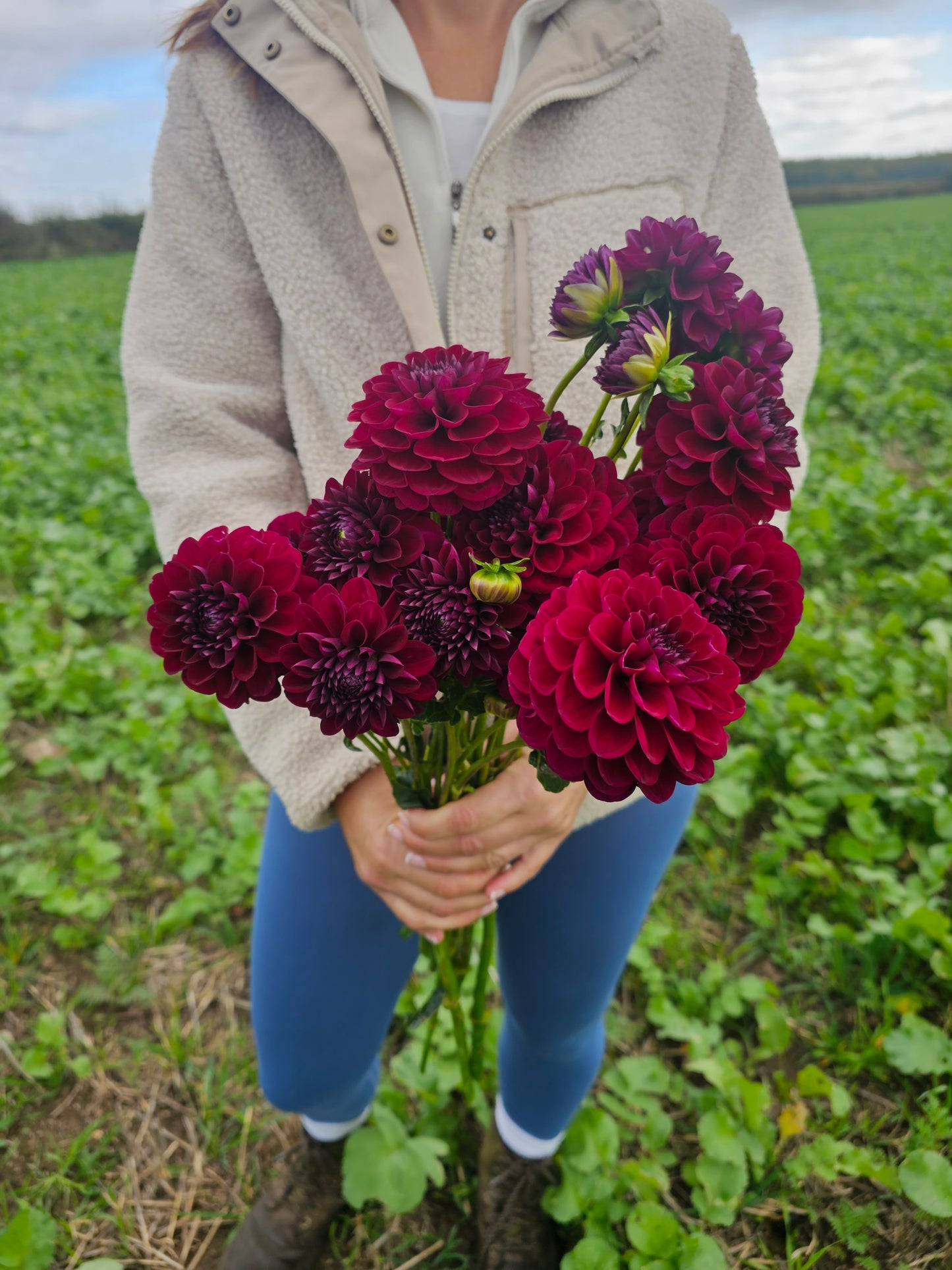 Jowey Mirella Dahlia