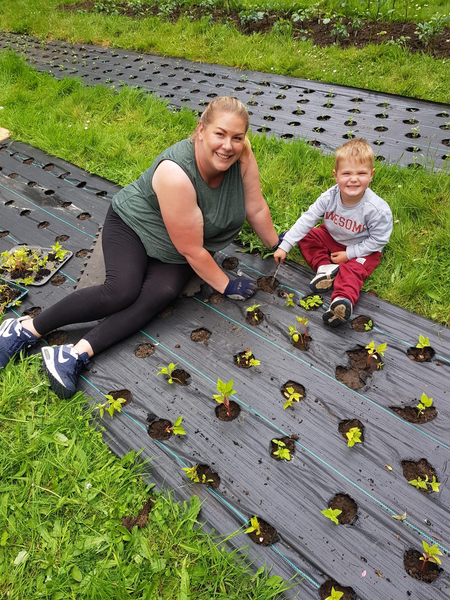 'Grow your own' Cut Flower Patch - Seed starting Workshop