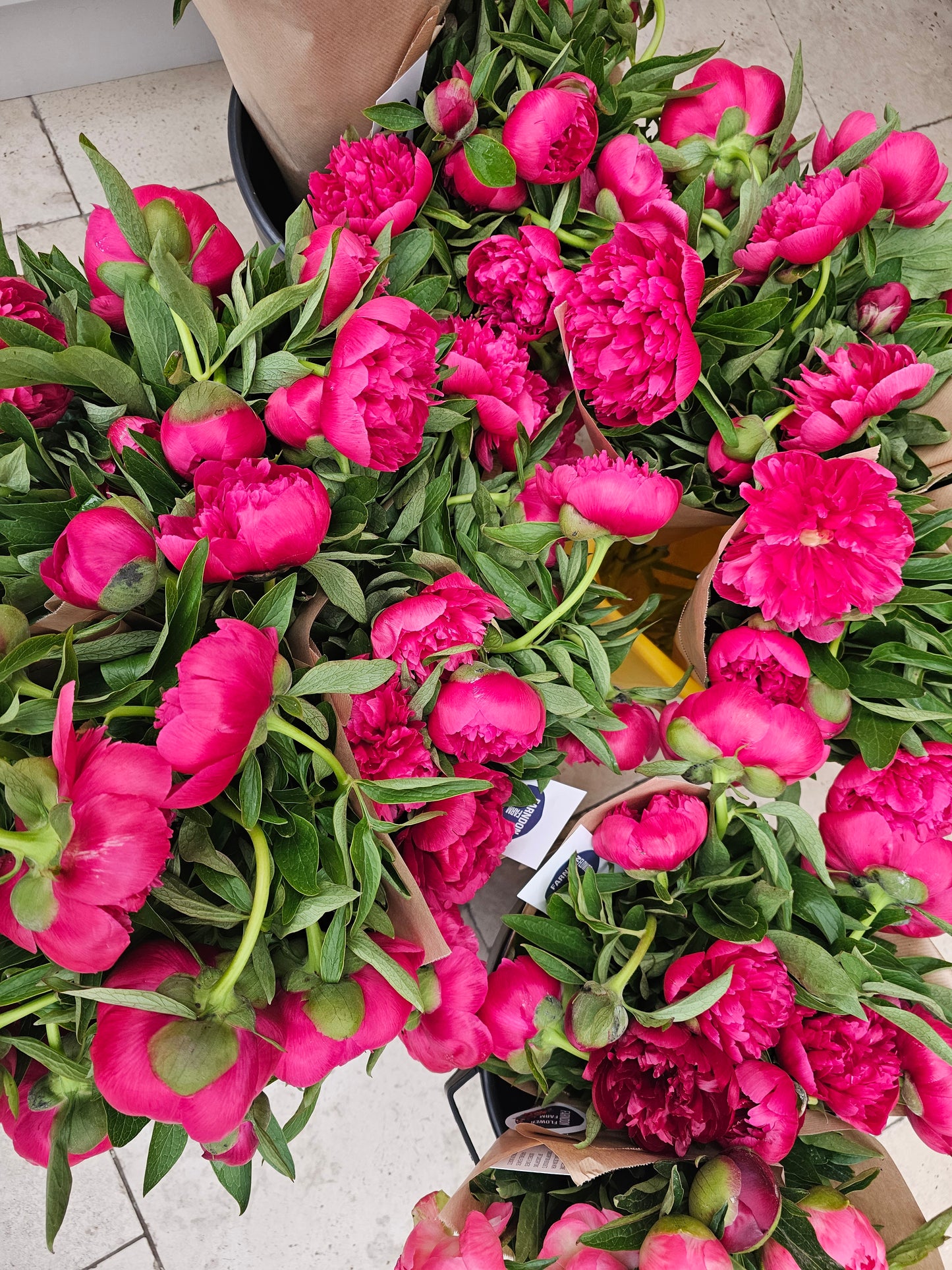 The Peony Club