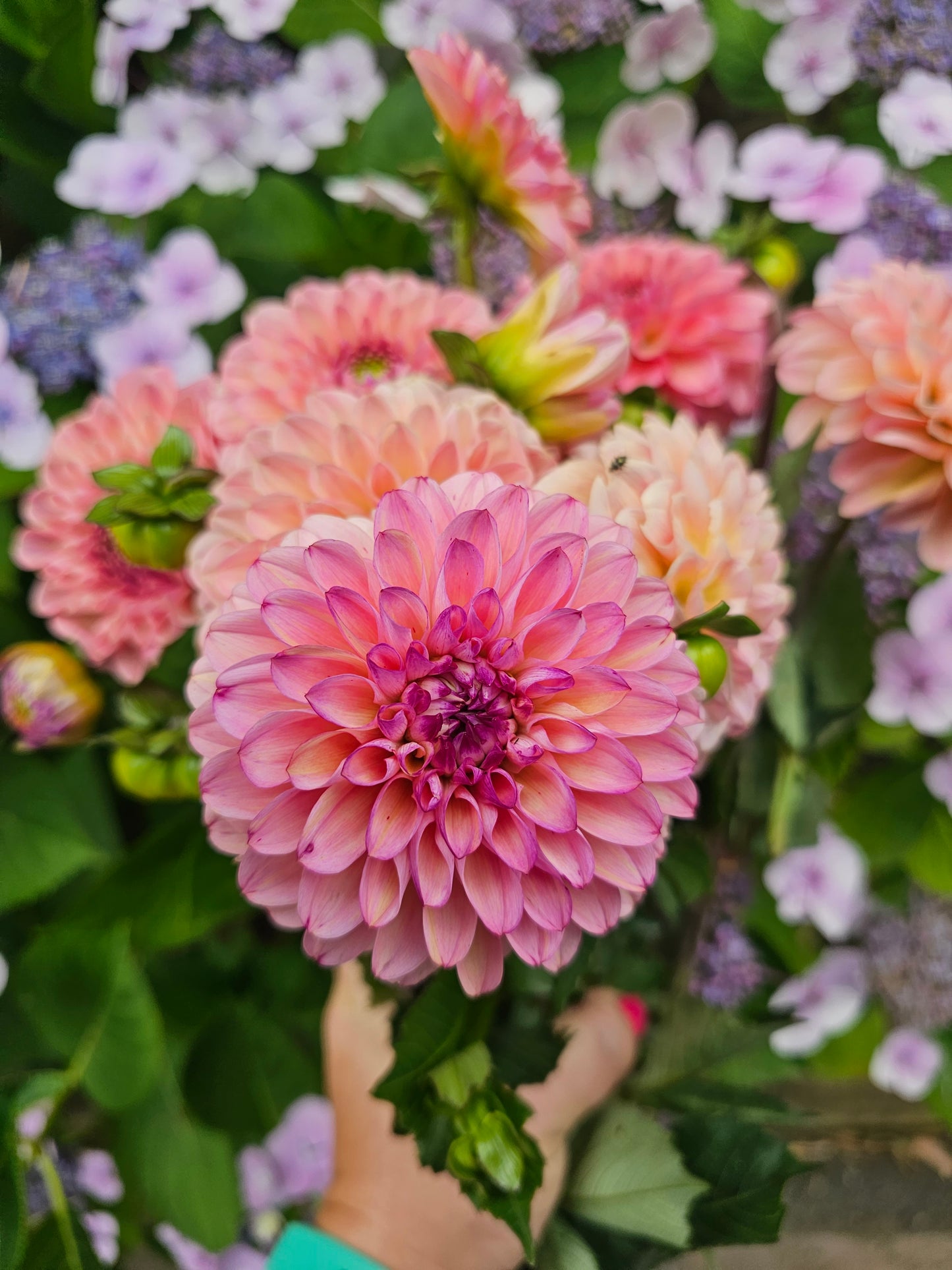 Spring and Summer 2026 Bouquet Subscription