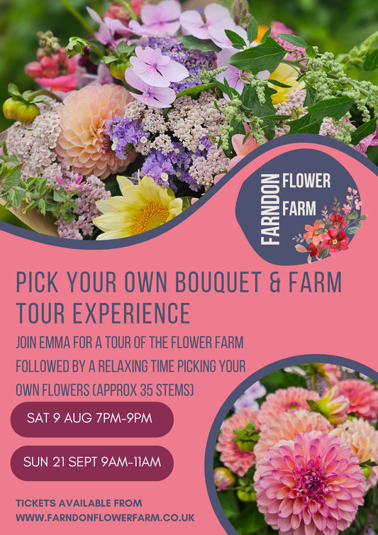 Pick Your Own Bouquet and Farm Tour