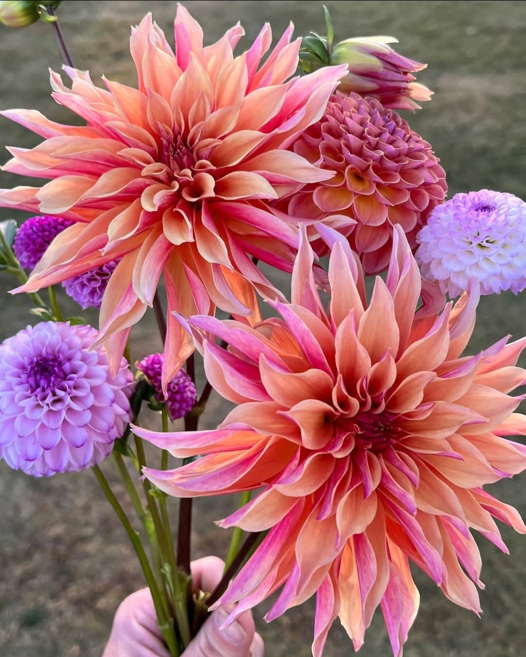 Spring 2026 Bouquet Subscription - April 2026