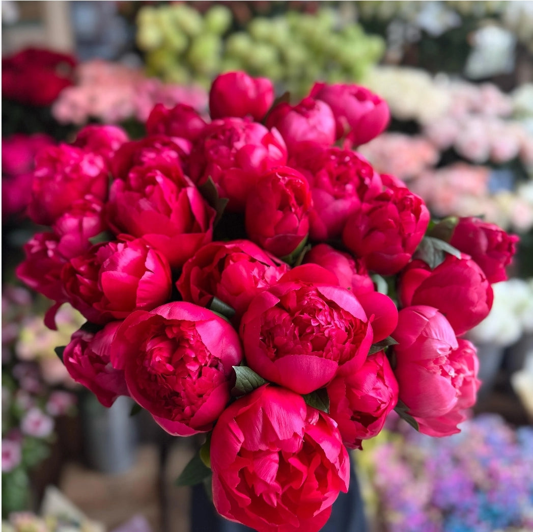 The Peony Club