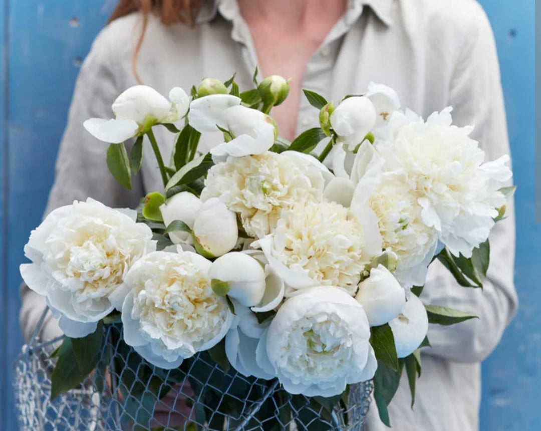 The Peony Club