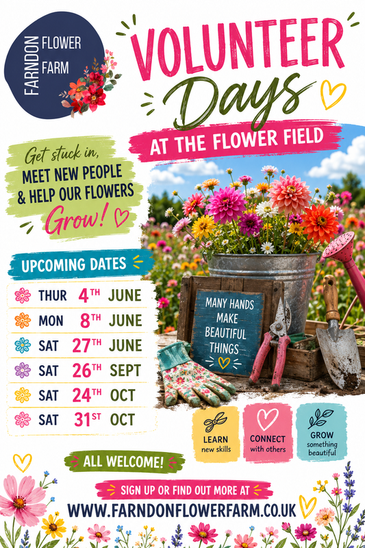 Volunteer Days