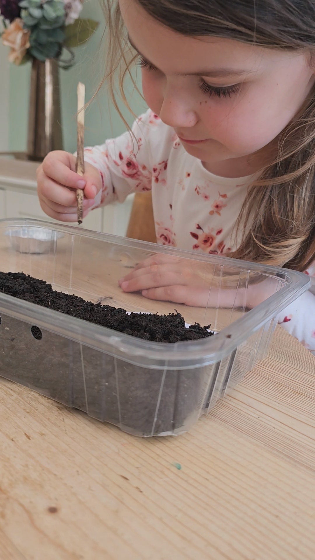 'Grow your own' Cut Flower Patch - Seed starting Workshop