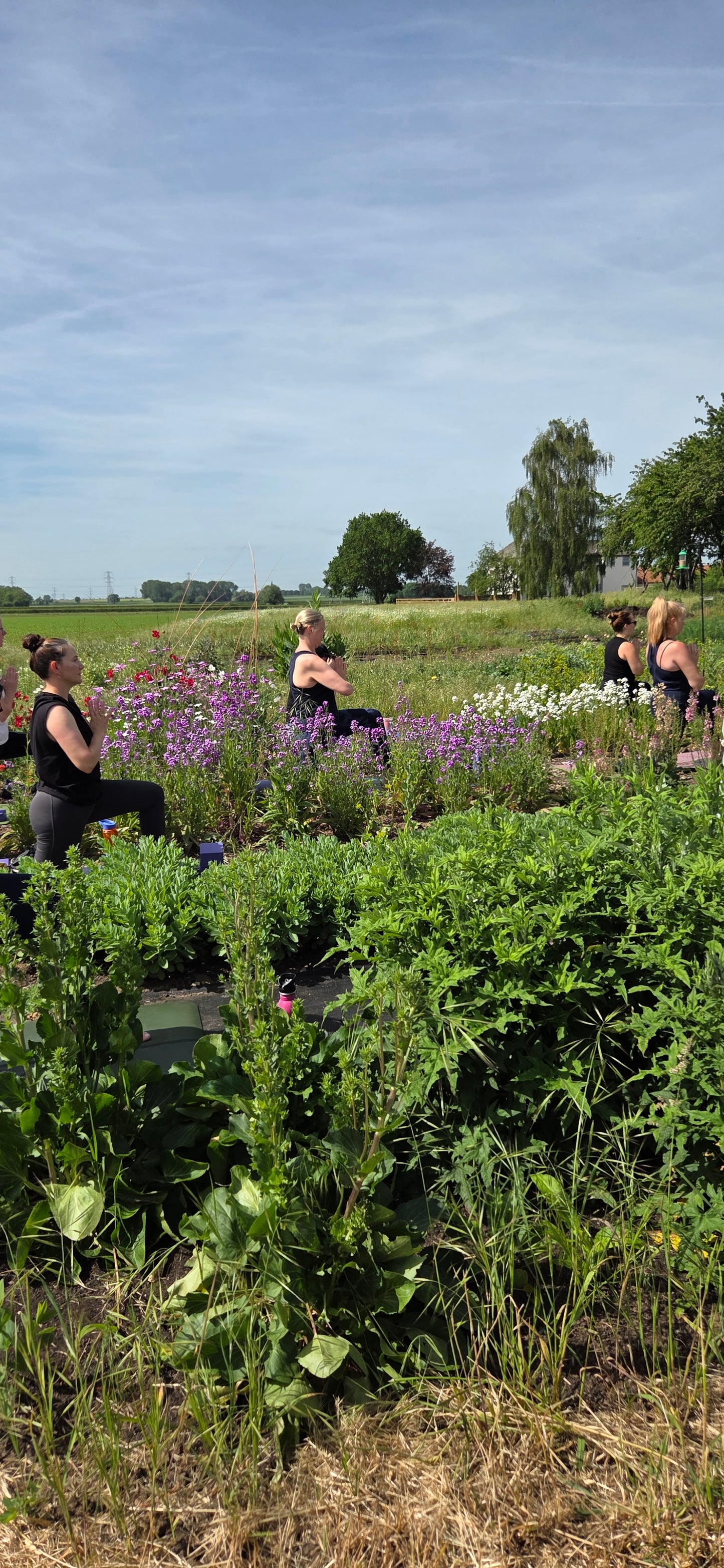 Bloom & Breathe - Yoga in the Meadow