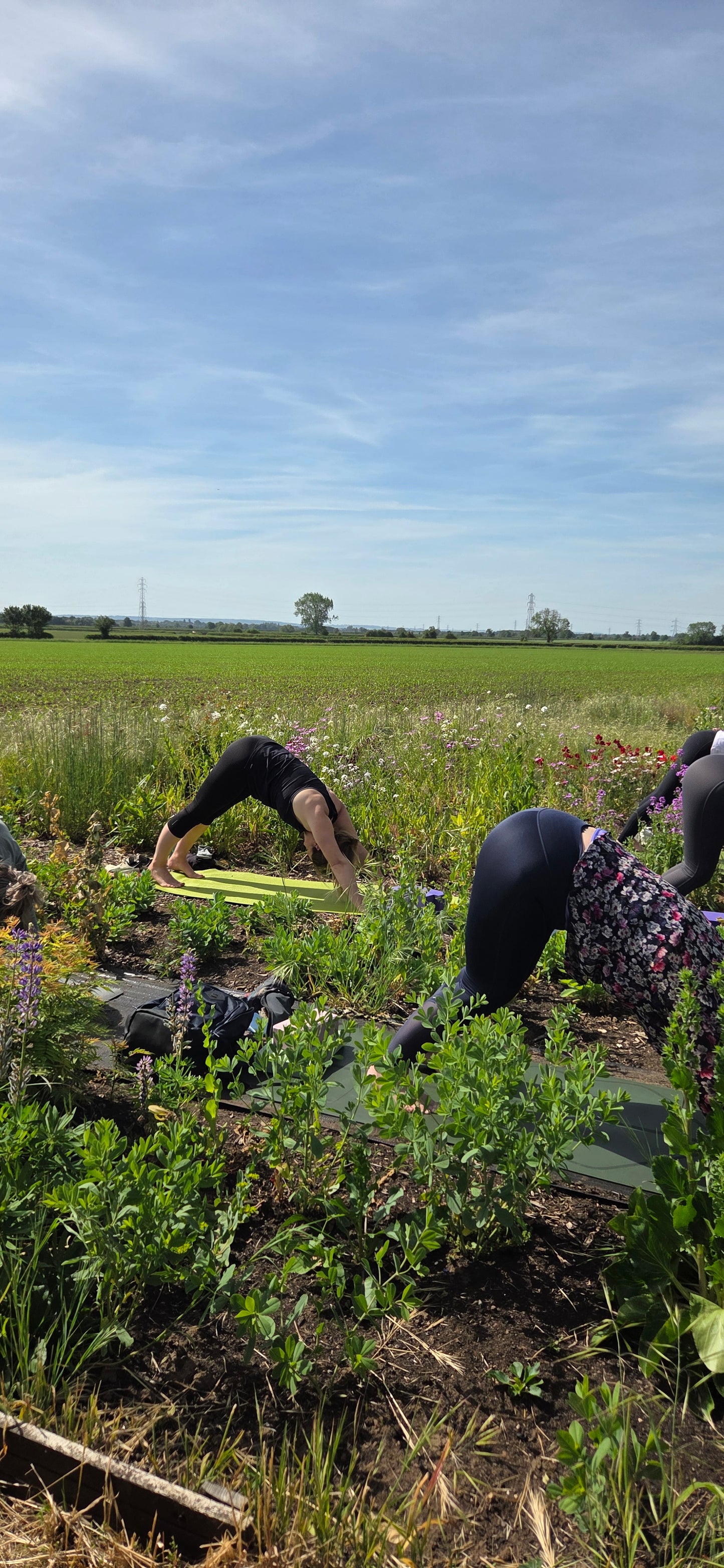 Bloom & Breathe - Yoga in the Meadow