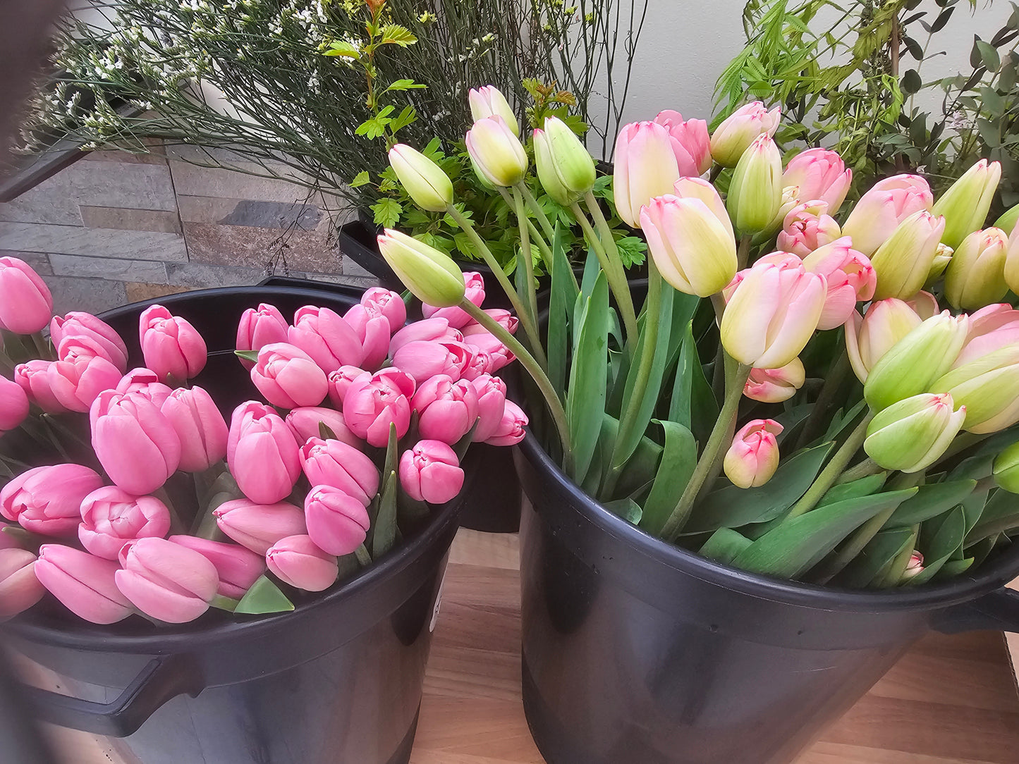 Pick Your Own Tulip Event